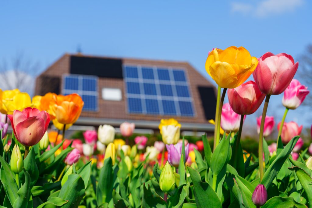 Photovoltaik Kleingarten Leipzig