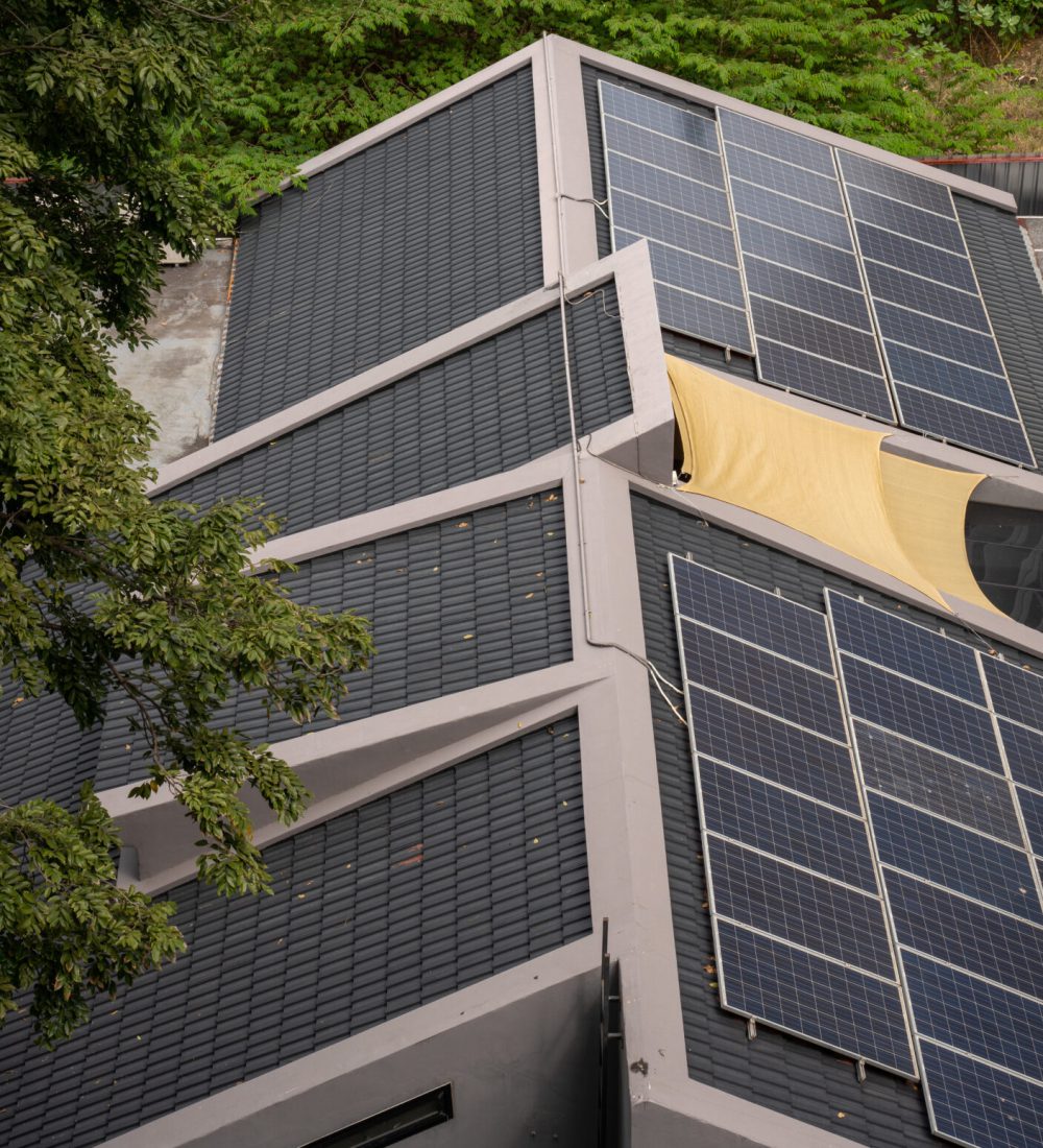 Solaranlage unter Baum